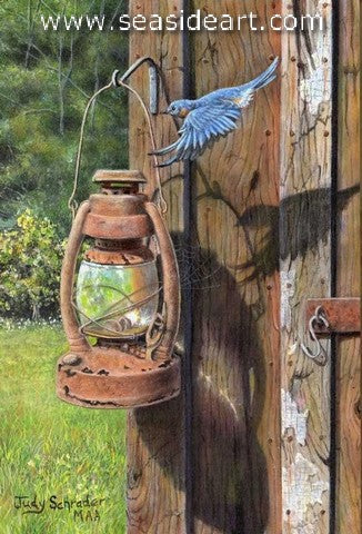 Schrader-Backyard Haven