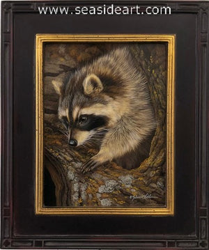 Bandit's Curiosity (Raccoon)
