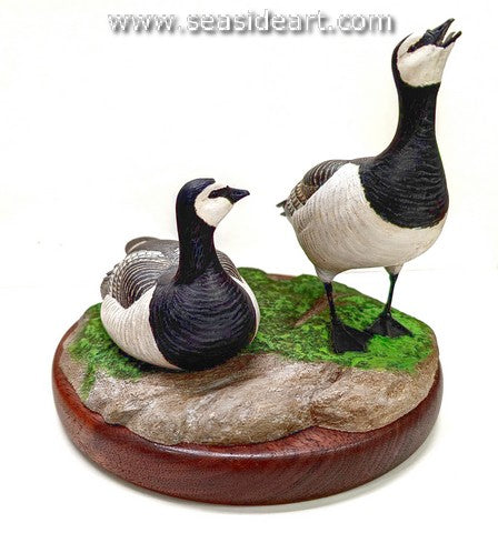 Ormsby-Barnacle Geese