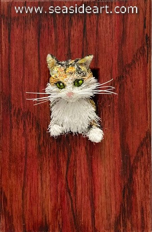Fabian-Barn Cat