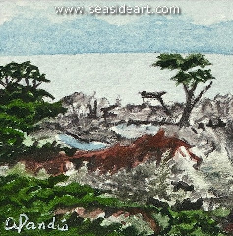 Landis-Big Sur