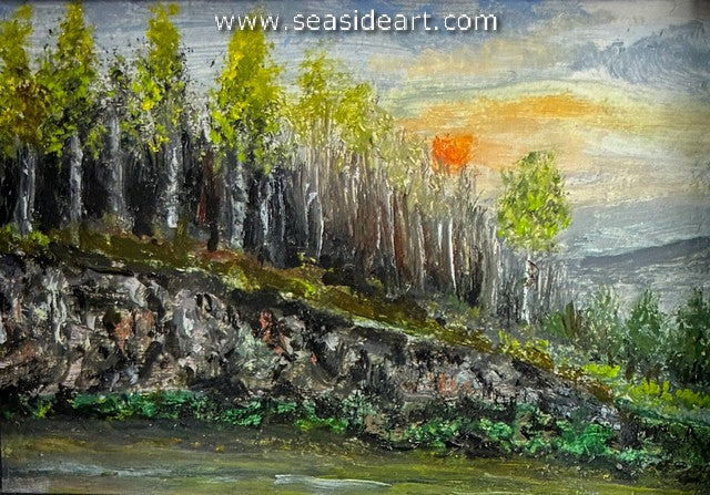 Gejevski-Birch Trees Showing Off