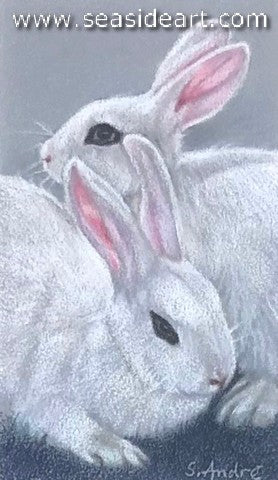 Andre-Blanc de Hotot Pair