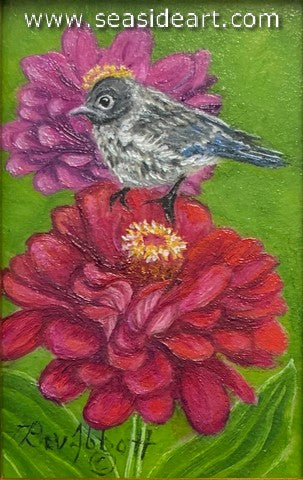 Bluebird Chick Posing on Zinnia