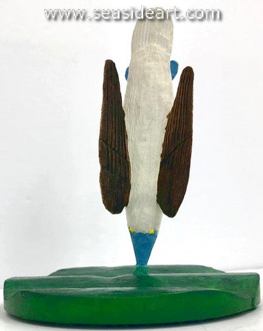 Diving Blue Footed Booby