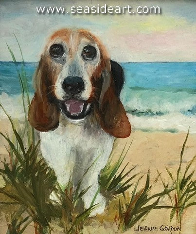 Gordon-Bob at the Beach