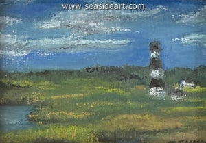 Shands-Bodie Island Sentinel