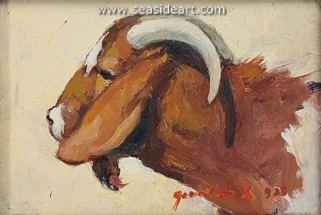 Cook-Boer Meat Goat