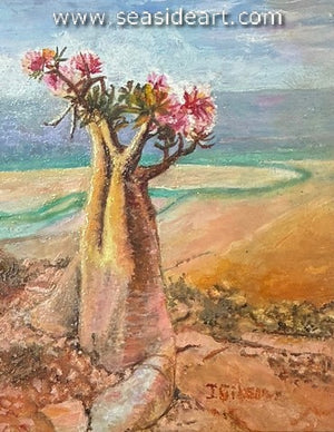 Gibson-Bottle Tree (Morrocan)