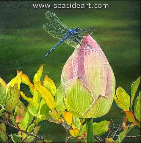 Budding Lotus & Guest