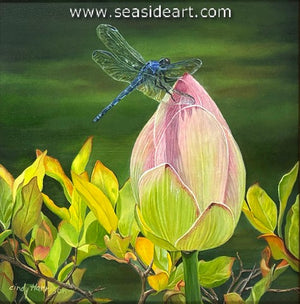Budding Lotus & Guest