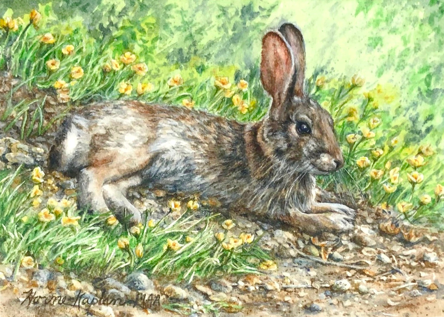 Horne-Kaplan-Buttercup