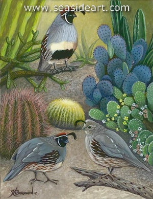 Burmann-Cactus Garden Visitors
