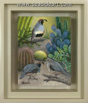Burmann-Cactus Garden Visitors