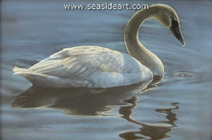 Calm in Blue (Swan)