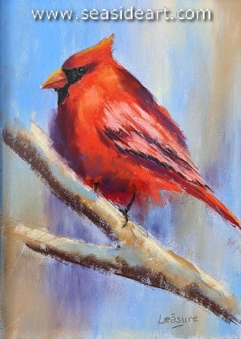 Cardinal on a Branch
