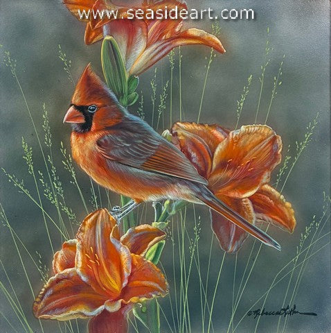 Latham R-Radiant Harmony (Cardinal)