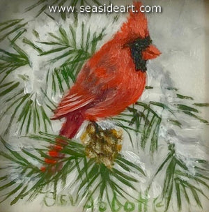 Cardinal with One Pine Cone