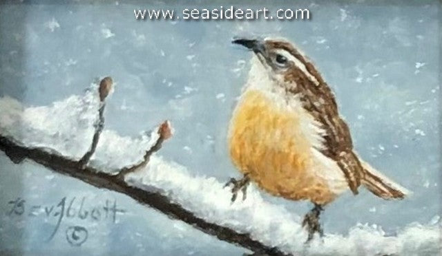 Carolina Wren on Fluffy Snow