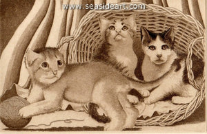 Cats
