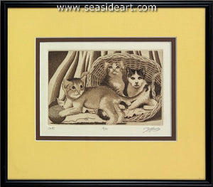 Cats