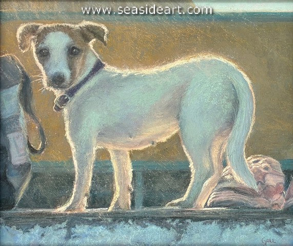 Goll-Chien de Plage (Beach Dog)