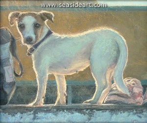 Goll-Chien de Plage (Beach Dog)