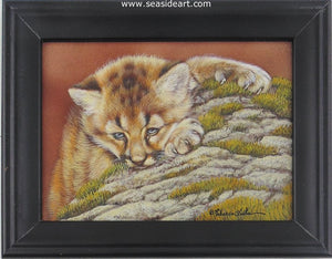 Cliff Hanger(Cougar Kitten)