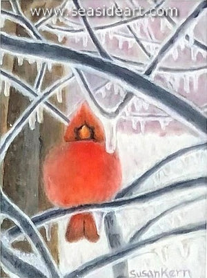 Kern-Cold Cardinal
