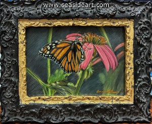 Latham B-Coneflower Serenade (Monarch Butterfly)