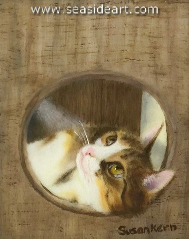 Kern-Curious Kitty