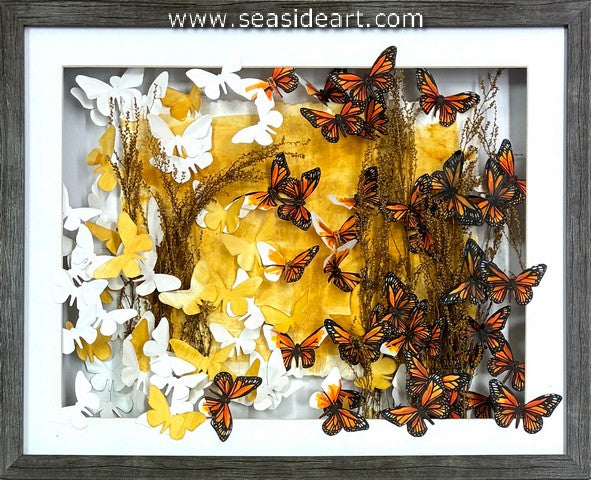 Cyano Monarch #25