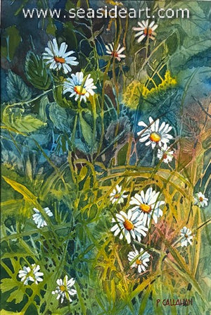 Daisies at the Abbey