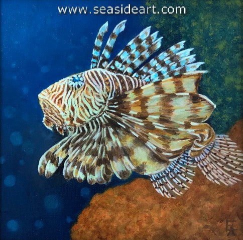 Dandy-Lion Fish
