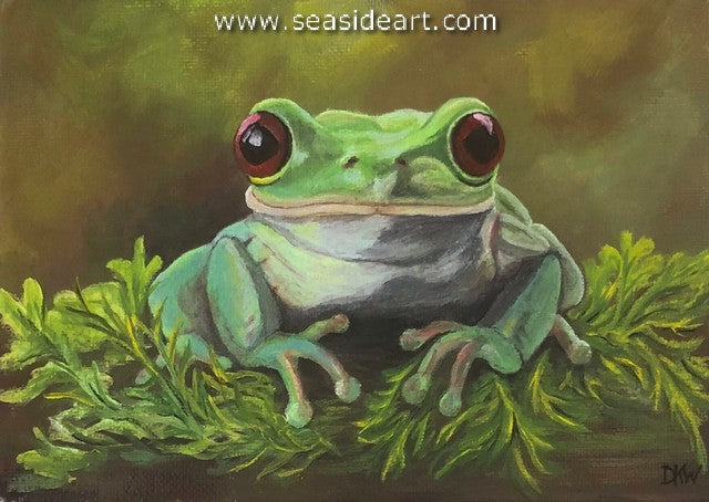 Walker-Miller-Dumpy Frog