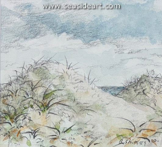 Shipley-Dune Passage #16