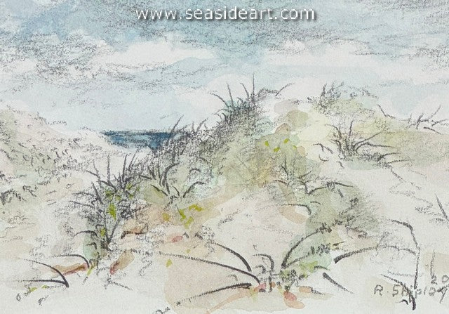 Shipley-Dune Passage #17