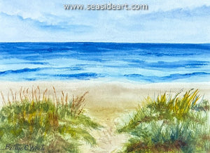 Dune Path