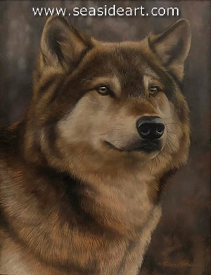 Early Timber (Timber Wolf)
