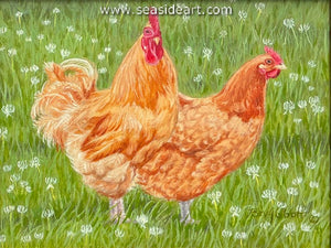Easy to Love (Buff Orpington Chickens)