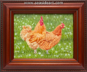 Easy to Love (Buff Orpington Chickens)