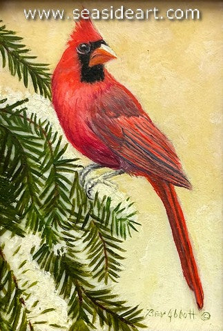 Feather's So Red (Cardinal on Snowy Branch)