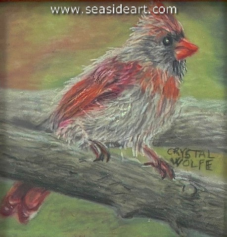 Wolfe C-Winter Whispers