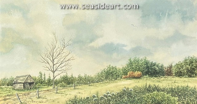 Peaceful Day