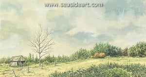 Peaceful Day