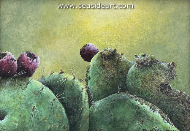 Campbell-Sun, Fog & Fun Frog