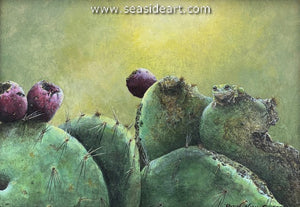 Campbell-Sun, Fog & Fun Frog