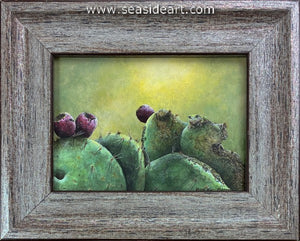 Campbell-Sun, Fog & Fun Frog