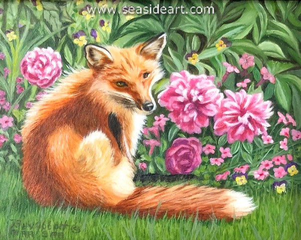 Garden Fox