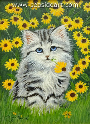 Garden of Black Eyed Susans